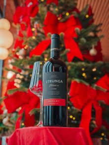 Strunga Terroir - Merlot 0,75 l – 2024 - imagine 5