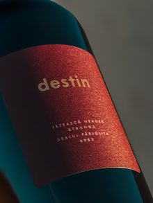 Destin - Fetească Neagră demidulce – 2023 - imagine 4