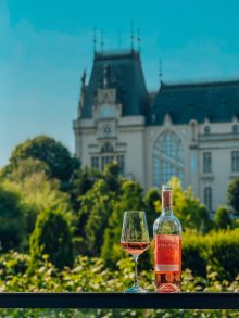 Pachet „Bun venit la Strunga” – 6 Sticle - imagine 4