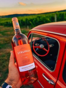 Strunga Terroir – Fetească Neagră 0,75 l – rose - imagine 3