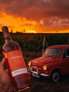 Strunga Terroir – Fetească Neagră 0,75 l – rose - imagine 2