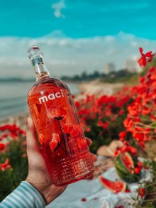 MACI - Fetească Neagră & Cabernet Sauvignon - imagine 8