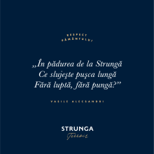 Strunga Terroir - Chardonnay 0,75l - 2025 - imagine 3