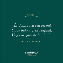 Strunga Terroir - Feteasca Alba 0,75l - 2024 - imagine 3