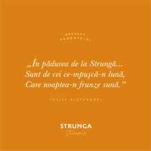 Strunga Terroir - Muscat Ottonel 0,75l - 2025 - imagine 3