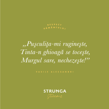 Strunga Terroir - Sauvignon Blanc 0,75l - 2024 - imagine 3